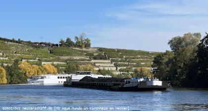 Bild: GMS Aqua Mundo und FGS Mona Lisa begegnen sich auf dem Neckar.